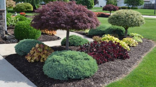 Landscaping in Victoria BC