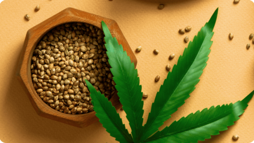 Buying Cannabis Seeds Online for Beginners: FAQs and Tips